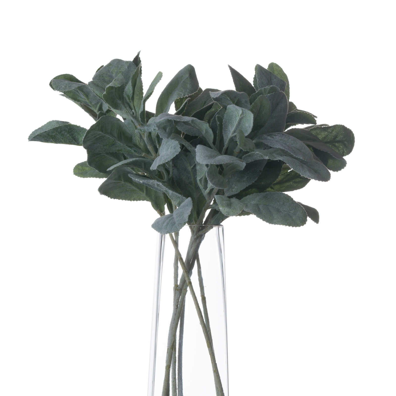 Lambs Ear Spray - Image 3