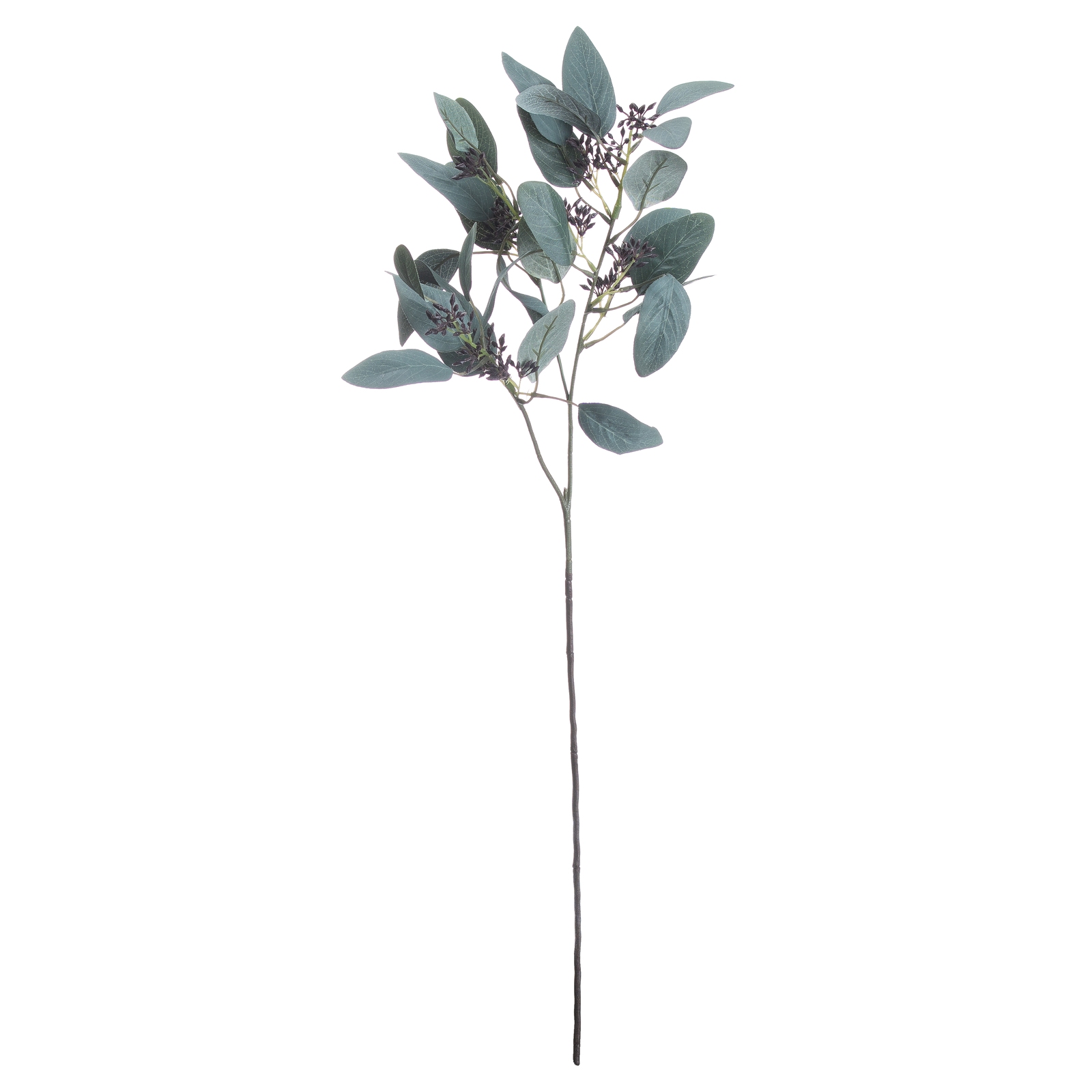 Seeded Eucalyptus Stem - Image 3
