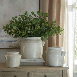 Summer Seeded Eucalyptus