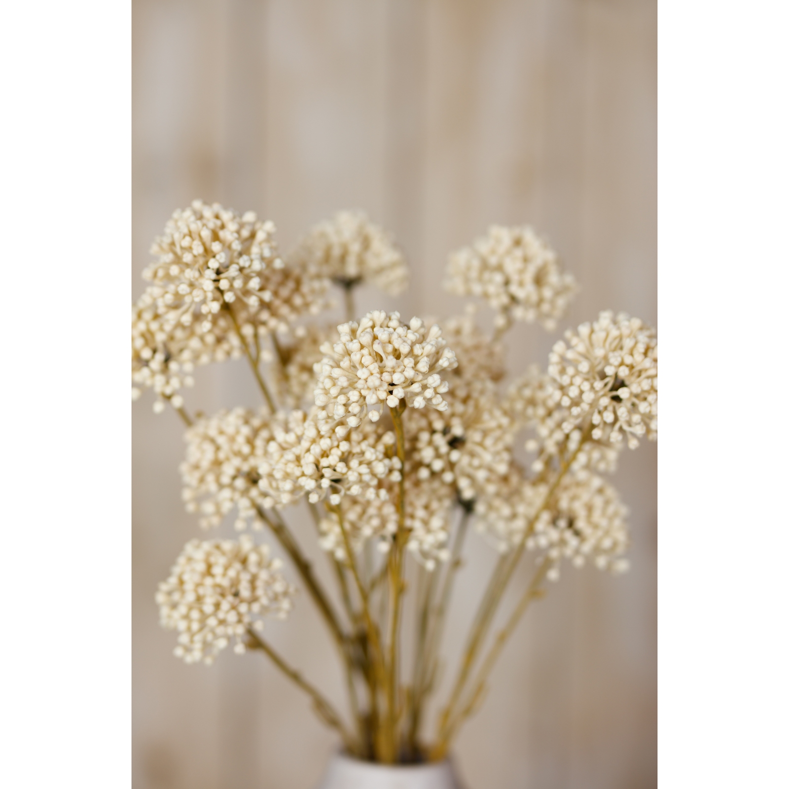 Cream Allium Spray - Image 5