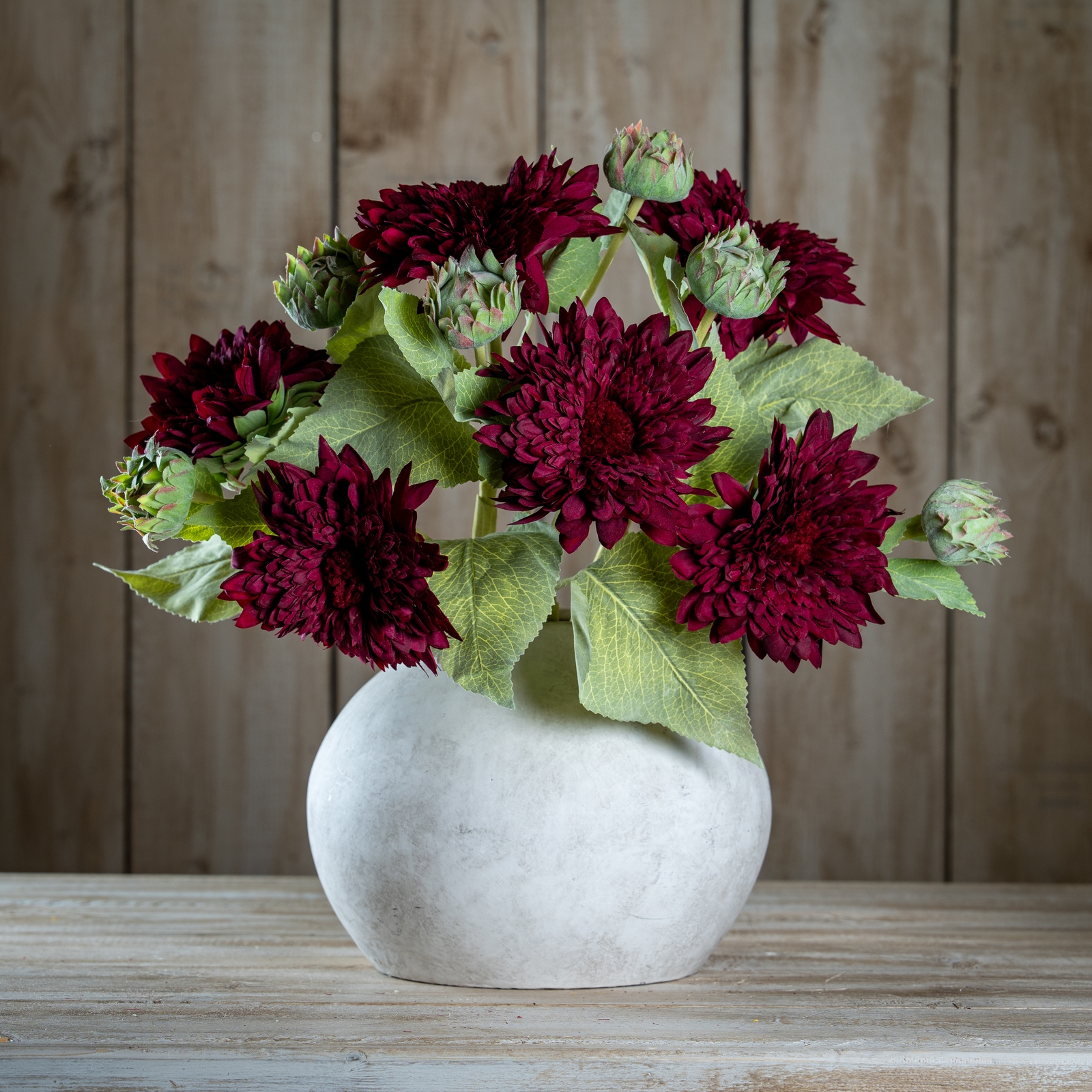 Dahlia Burgundy Raven Stem - Image 2