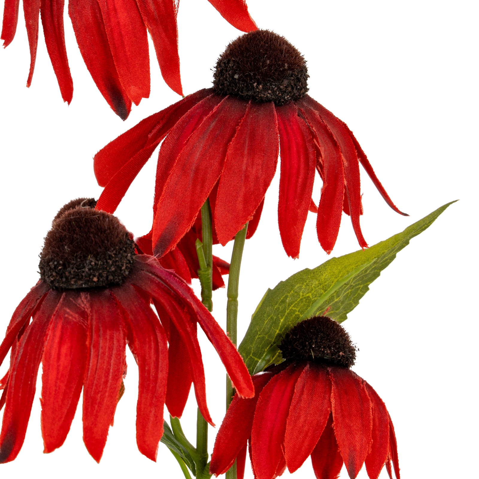 Red Echinacea Spray - Image 3